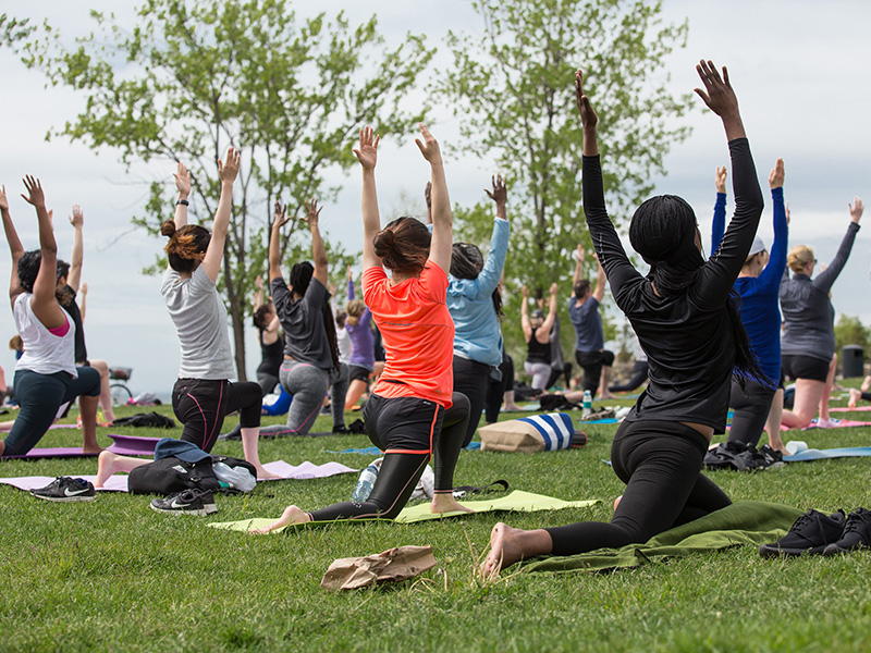 A group of people partaking in yoga in the park.