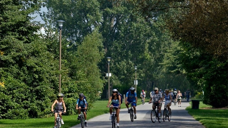 Cyclists biking on a paved path surrounded by trees 