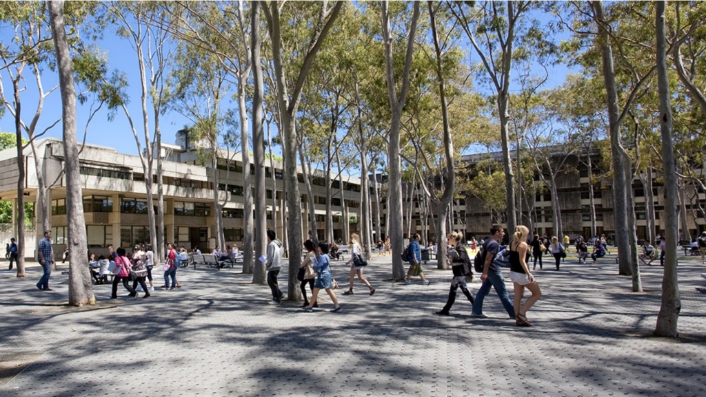 People walking in a paved courtyard with trees