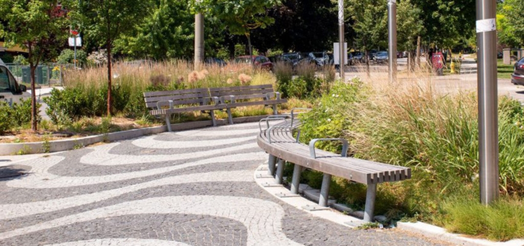 Picture of benches on a path with a wavy paving pattern and planted areas behind the benches