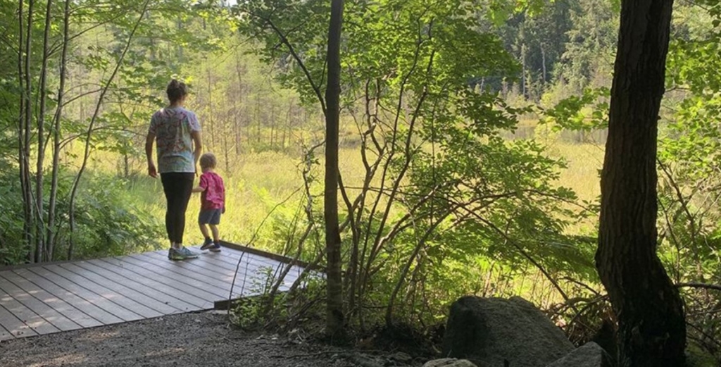 Image of an adult and a child standing on a boardwalk in a forested area