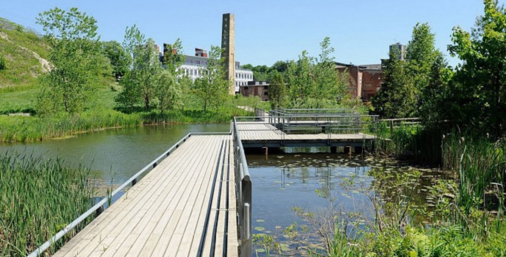 Image of a boardwalk over top of a body of water with lots of plants and trees along the water edge