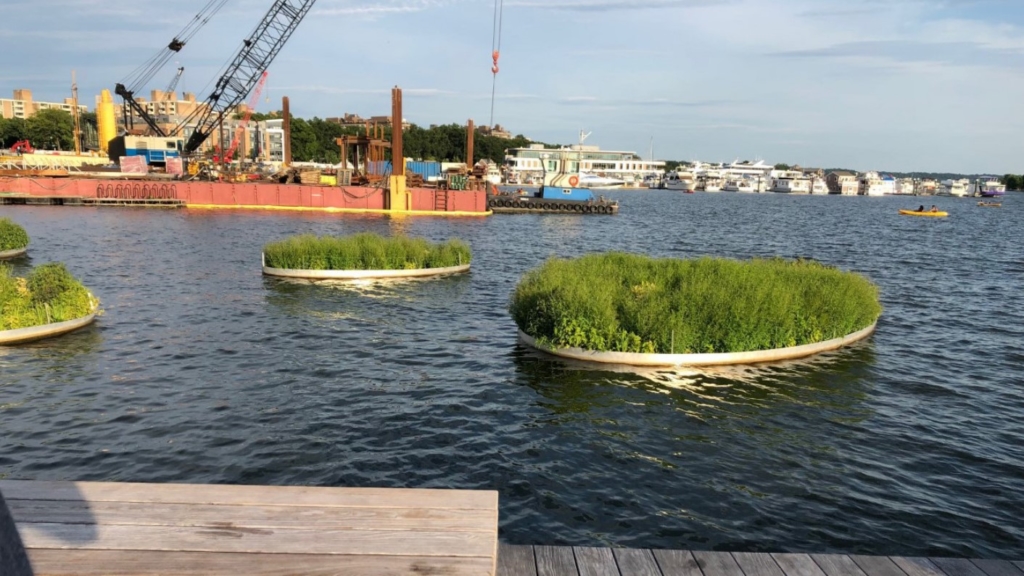 Image d’un plan d’eau avec de petits îlots circulaires végétalisés, avec des bateaux en arrière-plan.