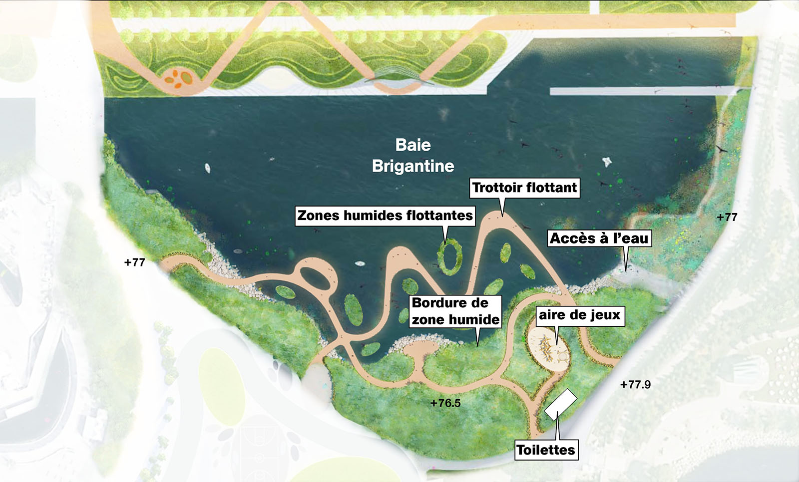 Image rendue de Brigantine Cove montrant des trottoirs de bois flottants et des zones humides flottantes sur l’eau. Une bordure de zone humide est représentée et l’accès à l’eau se fait à l’est, avec une aire de jeux et des toilettes à l’intérieur des terres. 